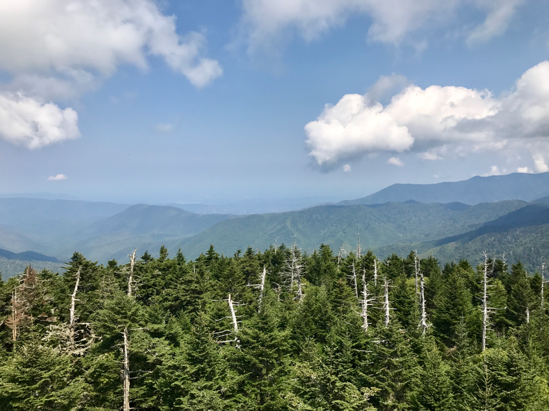 Illustration for article titled Clingmans Dome. Highest point in the Smokies.